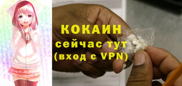 прущие грибы Арсеньев