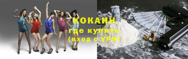 прущие грибы Арсеньев