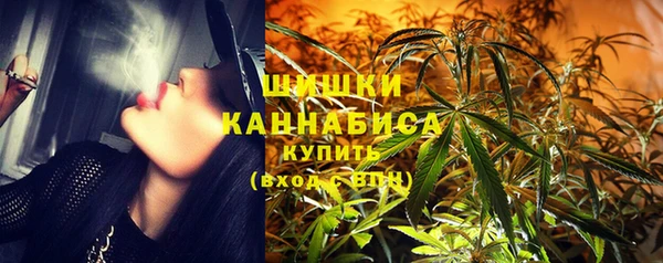прущие грибы Арсеньев