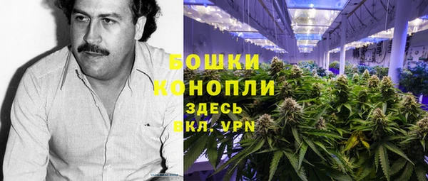 прущие грибы Арсеньев