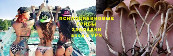 прущие грибы Арсеньев
