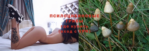 ГАЛЛЮЦИНОГЕННЫЕ ГРИБЫ Армянск