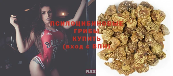 прущие грибы Арсеньев